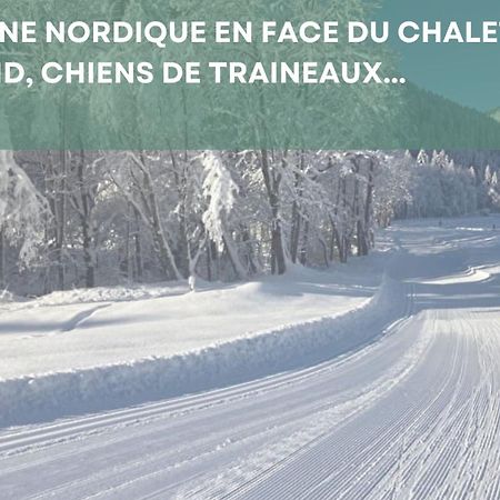 Abondance Chalet Les 4 Saisons - Ski, Parking Et Jardin מראה חיצוני תמונה