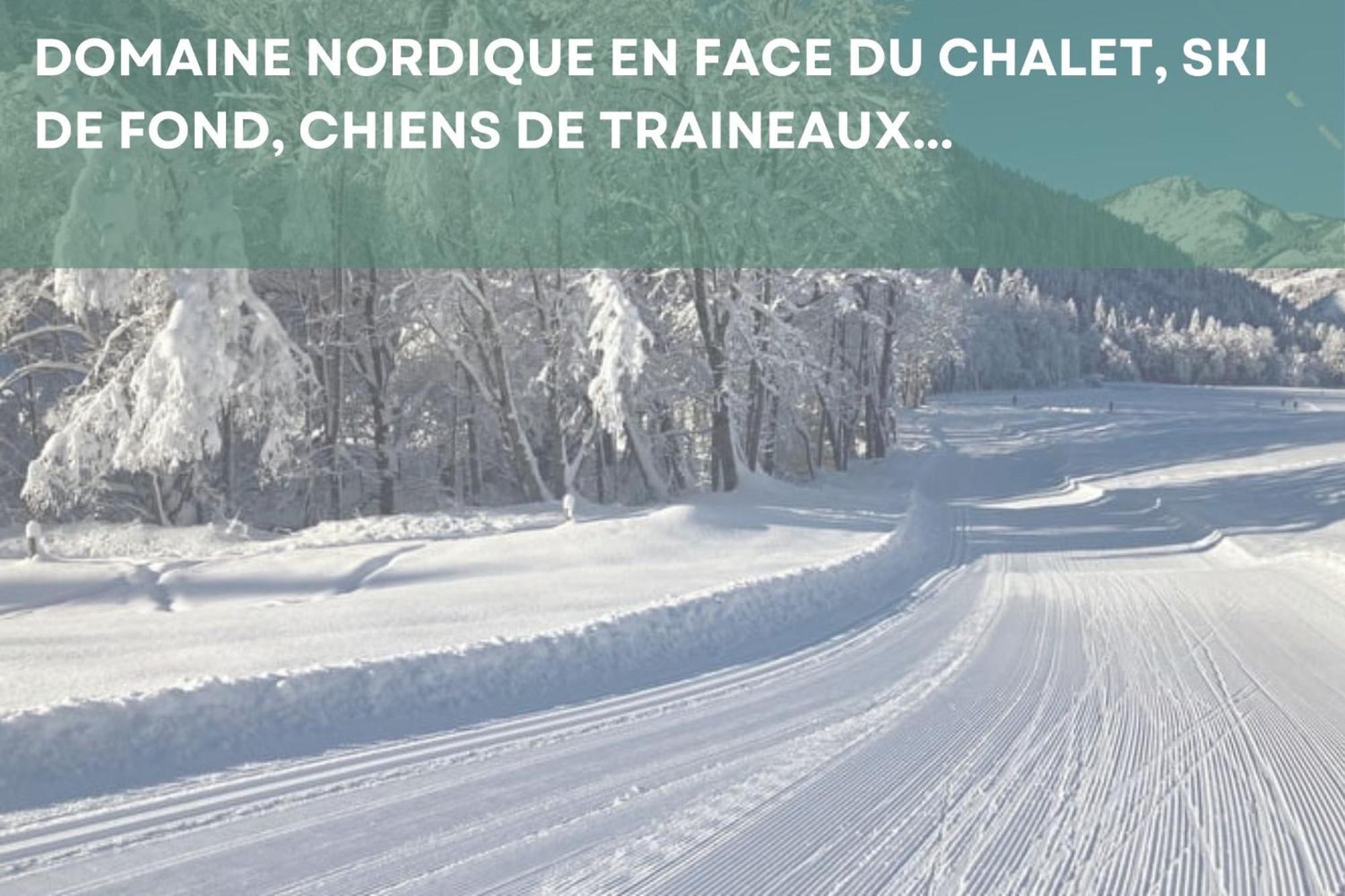 Abondance Chalet Les 4 Saisons - Ski, Parking Et Jardin מראה חיצוני תמונה