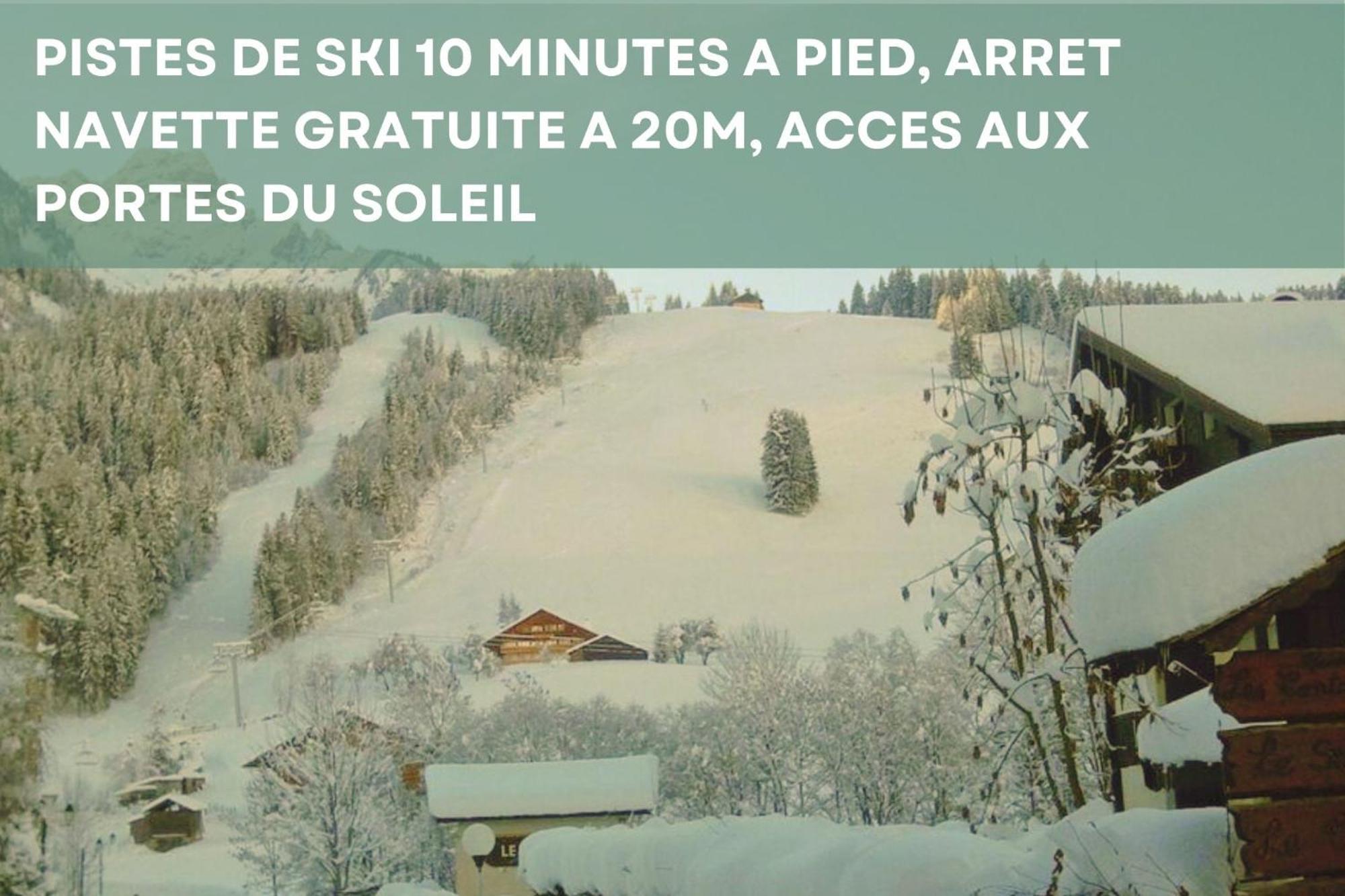 Abondance Chalet Les 4 Saisons - Ski, Parking Et Jardin מראה חיצוני תמונה